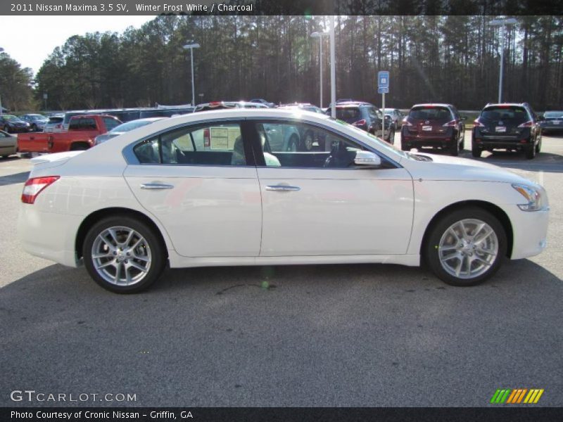 Winter Frost White / Charcoal 2011 Nissan Maxima 3.5 SV