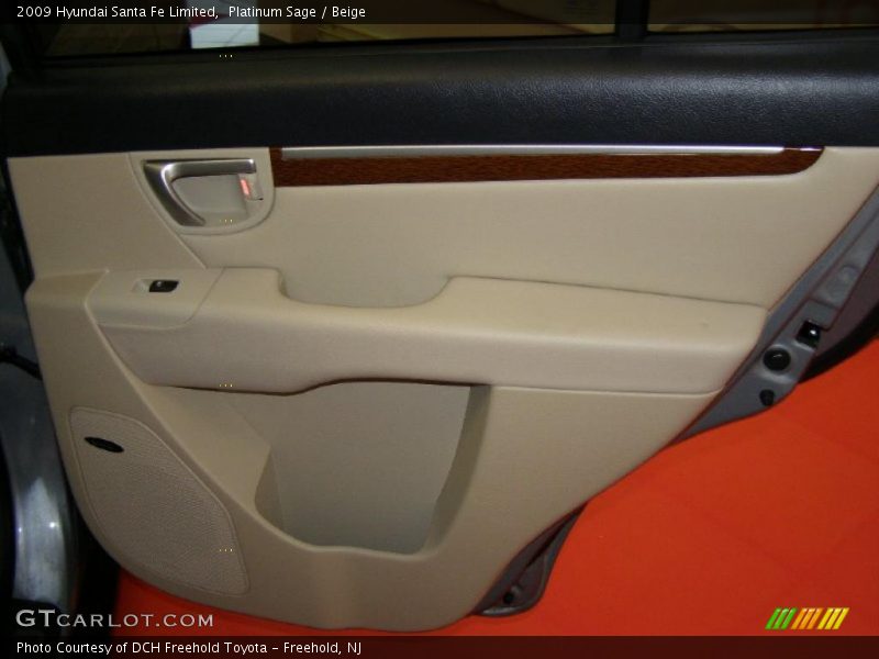 Platinum Sage / Beige 2009 Hyundai Santa Fe Limited