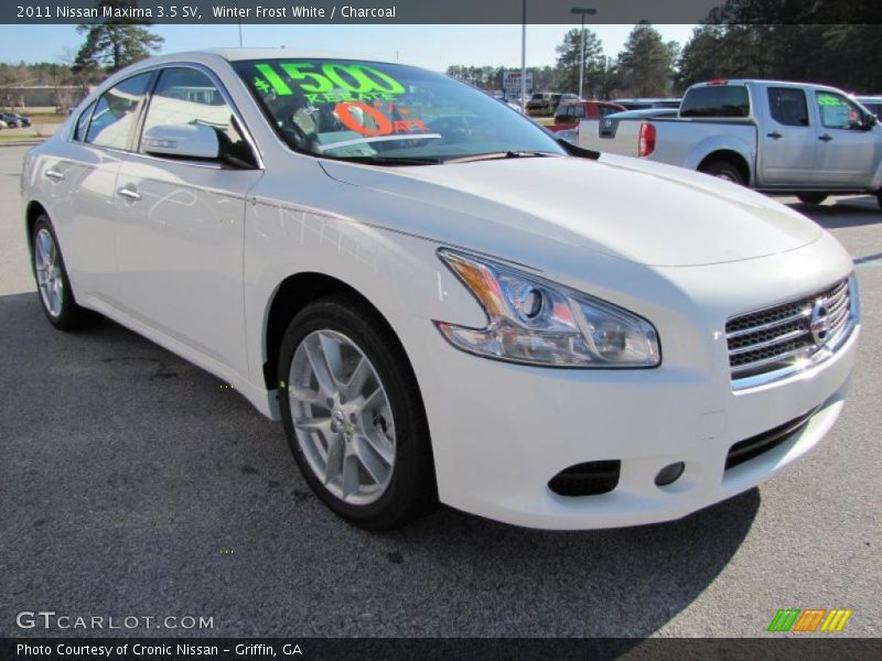 Front 3/4 View of 2011 Maxima 3.5 SV