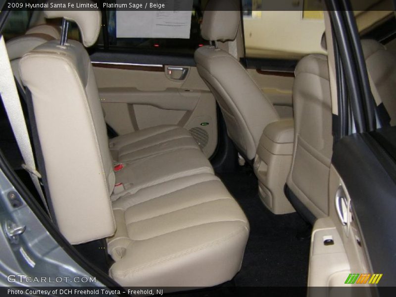 Platinum Sage / Beige 2009 Hyundai Santa Fe Limited