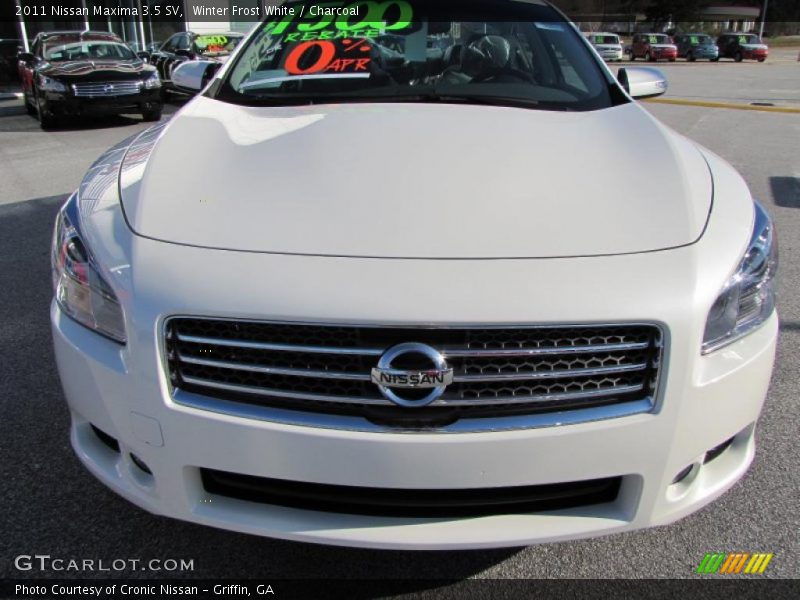 Winter Frost White / Charcoal 2011 Nissan Maxima 3.5 SV