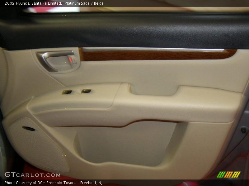 Platinum Sage / Beige 2009 Hyundai Santa Fe Limited