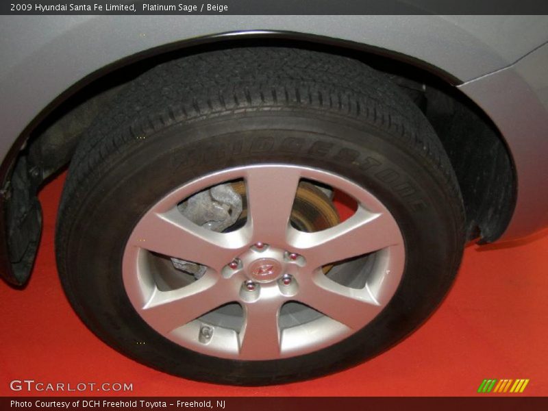 Platinum Sage / Beige 2009 Hyundai Santa Fe Limited