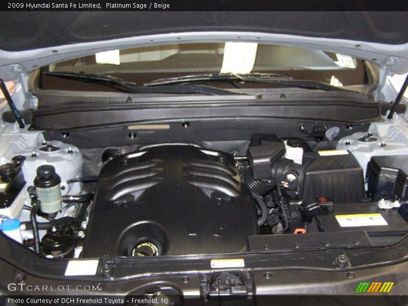 Platinum Sage / Beige 2009 Hyundai Santa Fe Limited