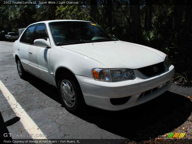 Super White / Light Charcoal 2002 Toyota Corolla LE