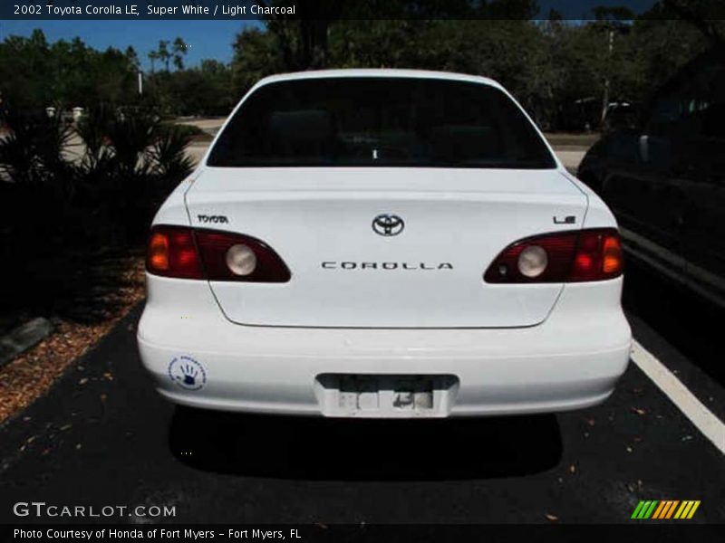 Super White / Light Charcoal 2002 Toyota Corolla LE