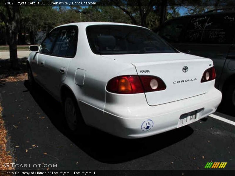 Super White / Light Charcoal 2002 Toyota Corolla LE