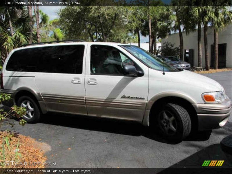 Summit White / Gray 2003 Pontiac Montana