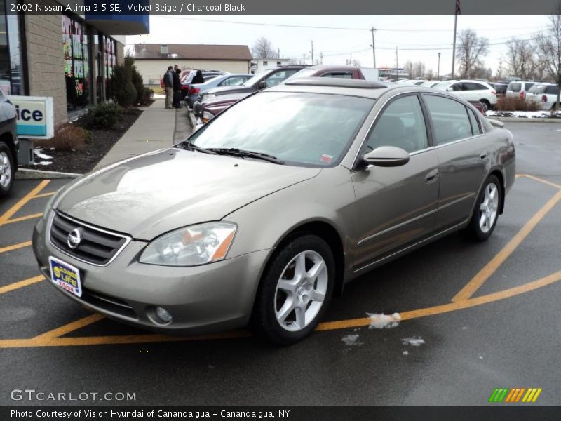 Velvet Beige / Charcoal Black 2002 Nissan Altima 3.5 SE