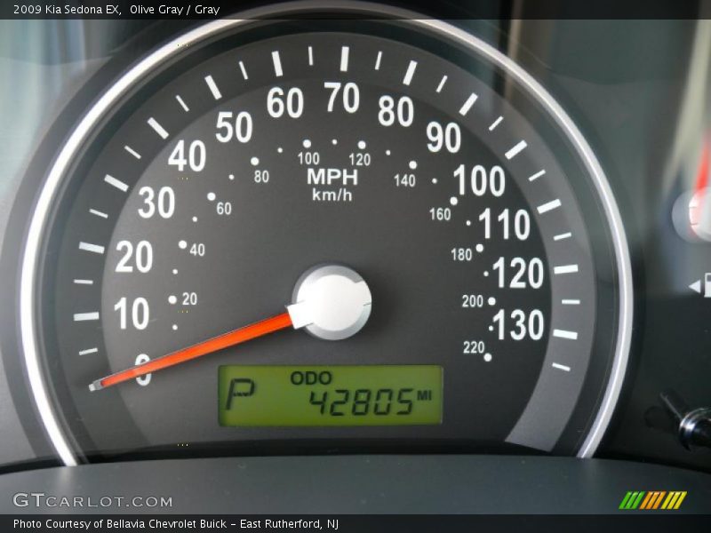 Olive Gray / Gray 2009 Kia Sedona EX