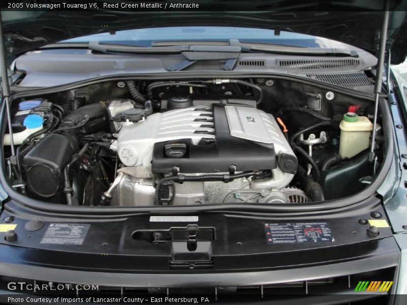 Reed Green Metallic / Anthracite 2005 Volkswagen Touareg V6