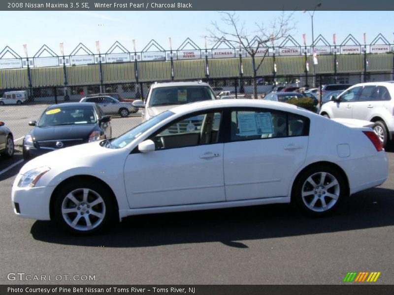 Winter Frost Pearl / Charcoal Black 2008 Nissan Maxima 3.5 SE