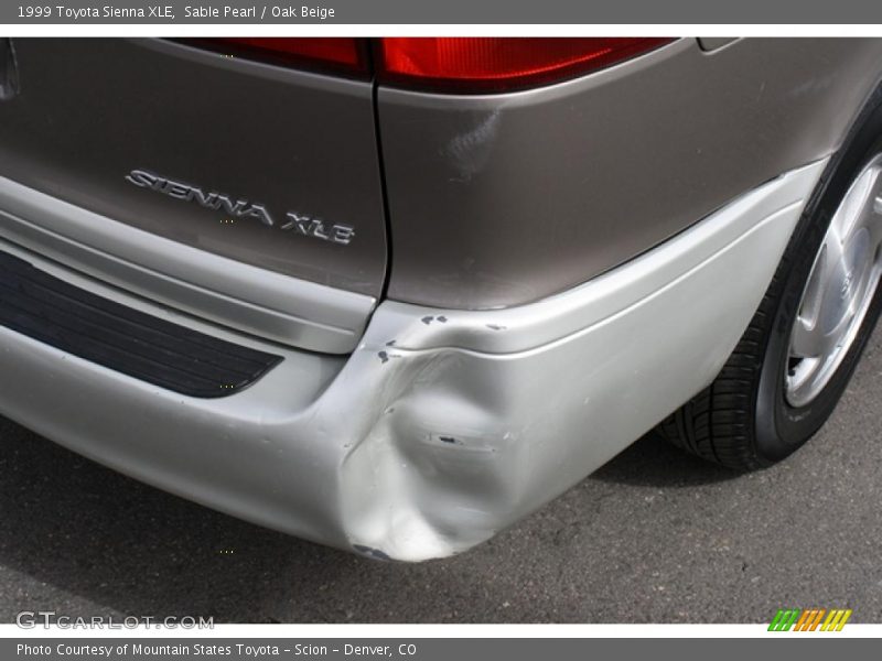 Sable Pearl / Oak Beige 1999 Toyota Sienna XLE