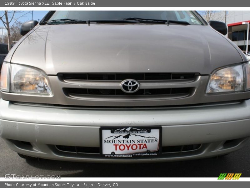 Sable Pearl / Oak Beige 1999 Toyota Sienna XLE