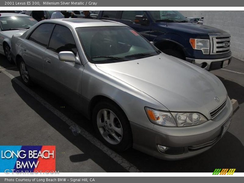 Millenium Silver Metallic / Gray 2001 Lexus ES 300