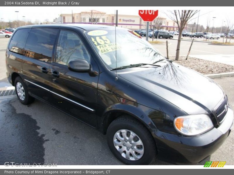 Midnight Black / Gray 2004 Kia Sedona EX