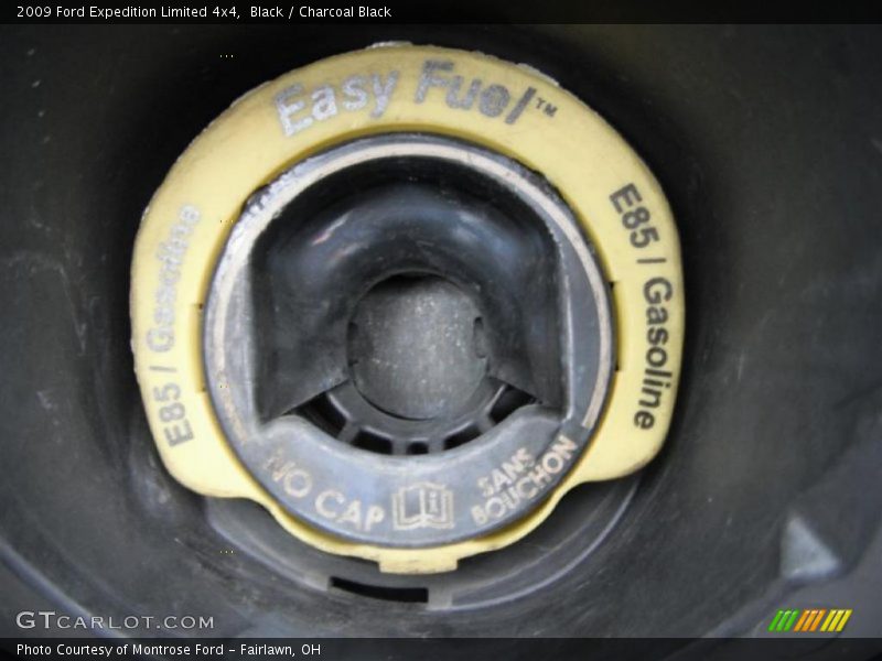 Black / Charcoal Black 2009 Ford Expedition Limited 4x4