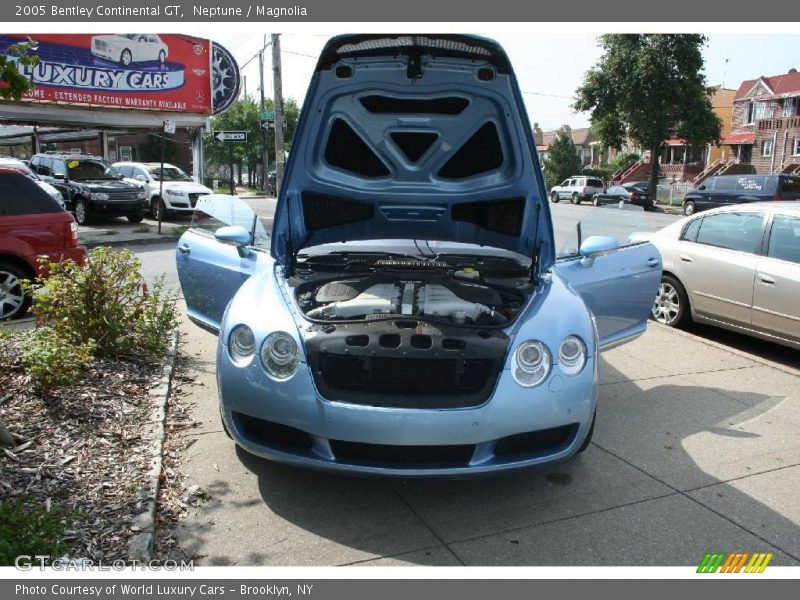 Neptune / Magnolia 2005 Bentley Continental GT