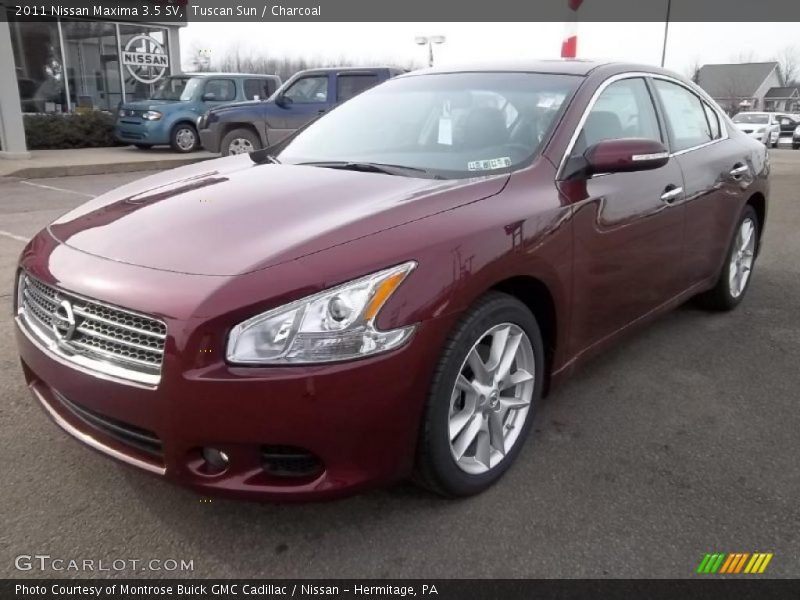 Tuscan Sun / Charcoal 2011 Nissan Maxima 3.5 SV