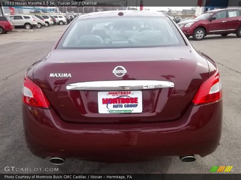 Tuscan Sun / Charcoal 2011 Nissan Maxima 3.5 SV