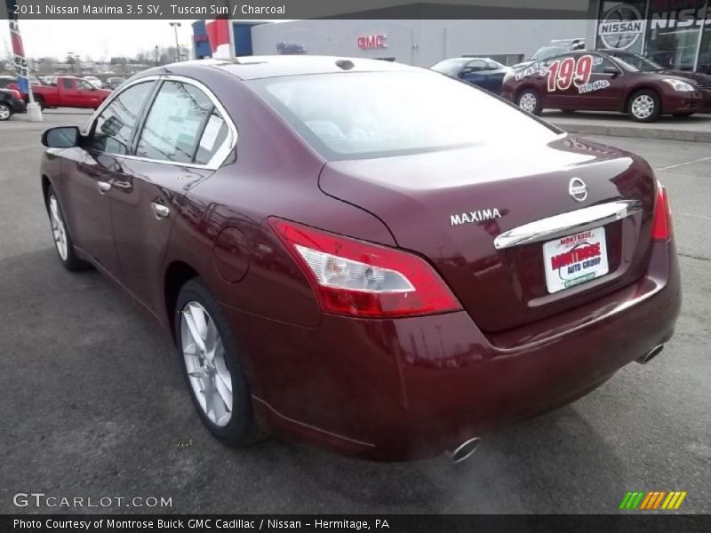 Tuscan Sun / Charcoal 2011 Nissan Maxima 3.5 SV
