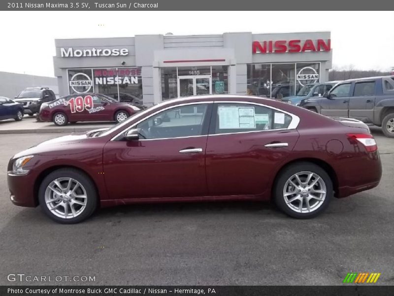 Tuscan Sun / Charcoal 2011 Nissan Maxima 3.5 SV
