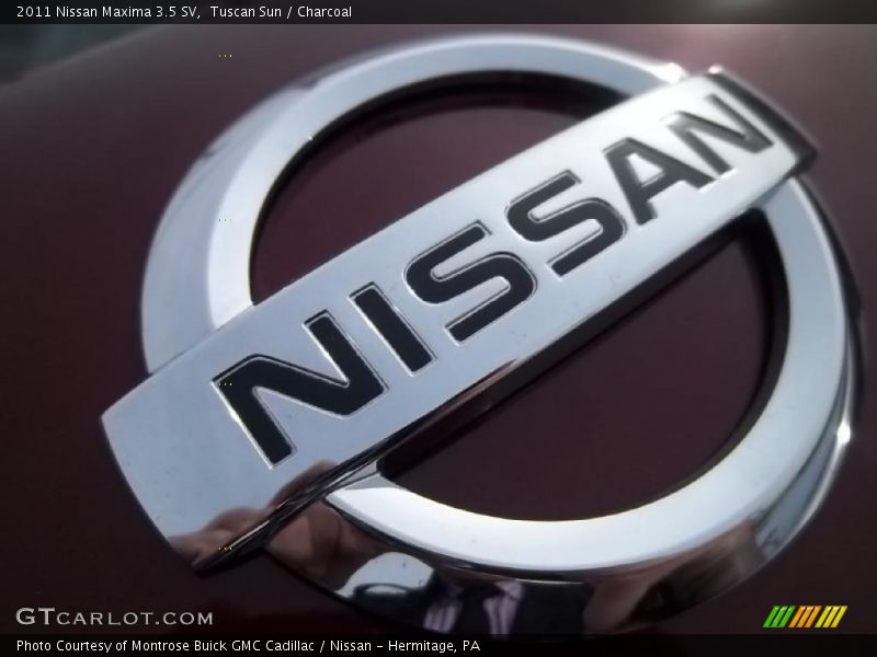 Tuscan Sun / Charcoal 2011 Nissan Maxima 3.5 SV