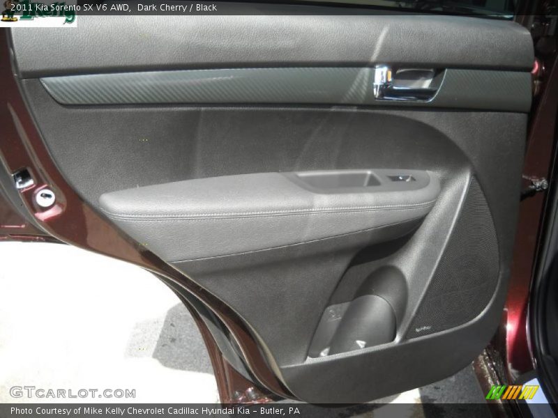 Door Panel of 2011 Sorento SX V6 AWD