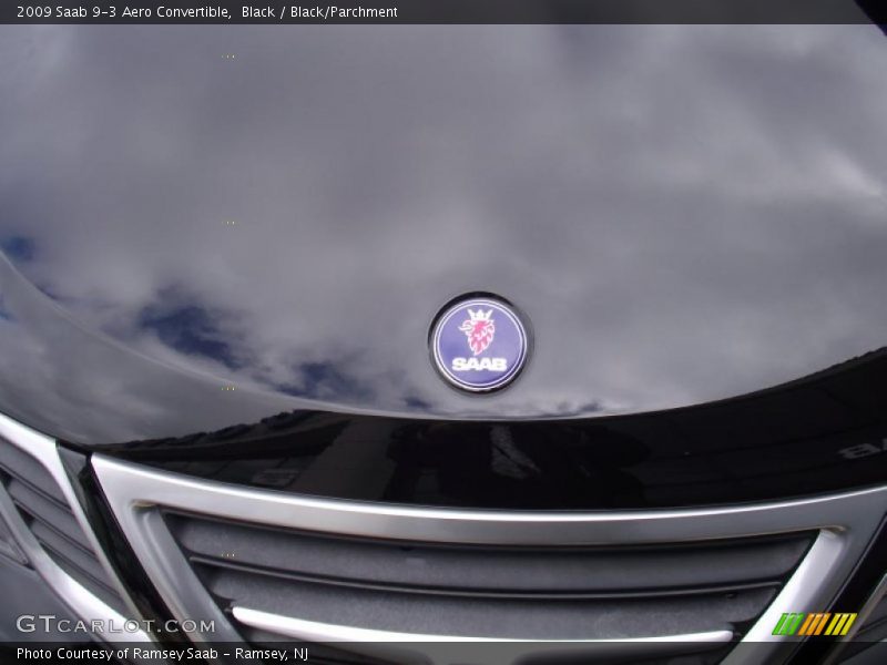 Black / Black/Parchment 2009 Saab 9-3 Aero Convertible