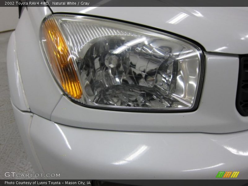 Natural White / Gray 2002 Toyota RAV4 4WD