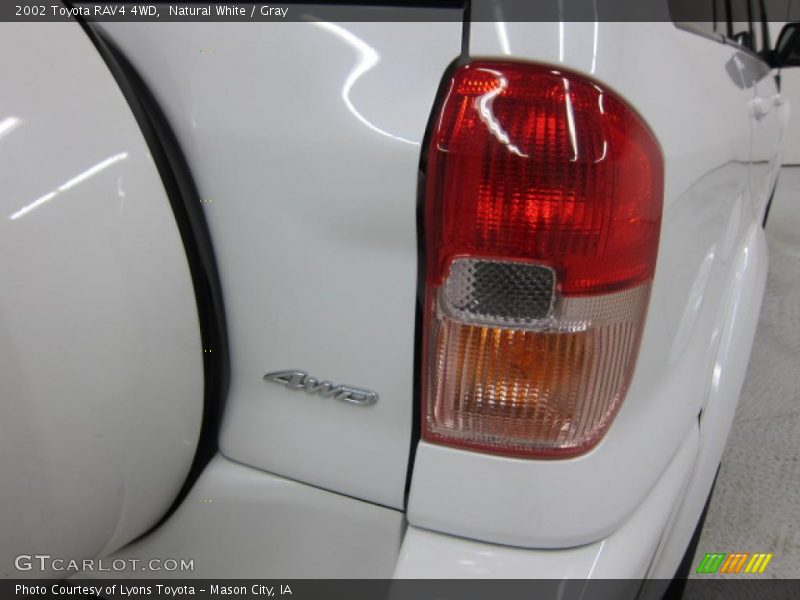 Natural White / Gray 2002 Toyota RAV4 4WD
