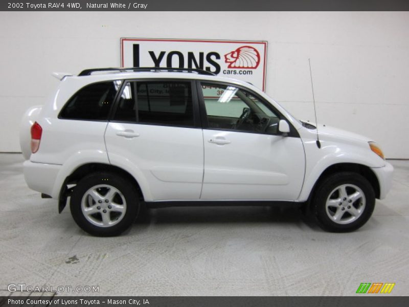 Natural White / Gray 2002 Toyota RAV4 4WD