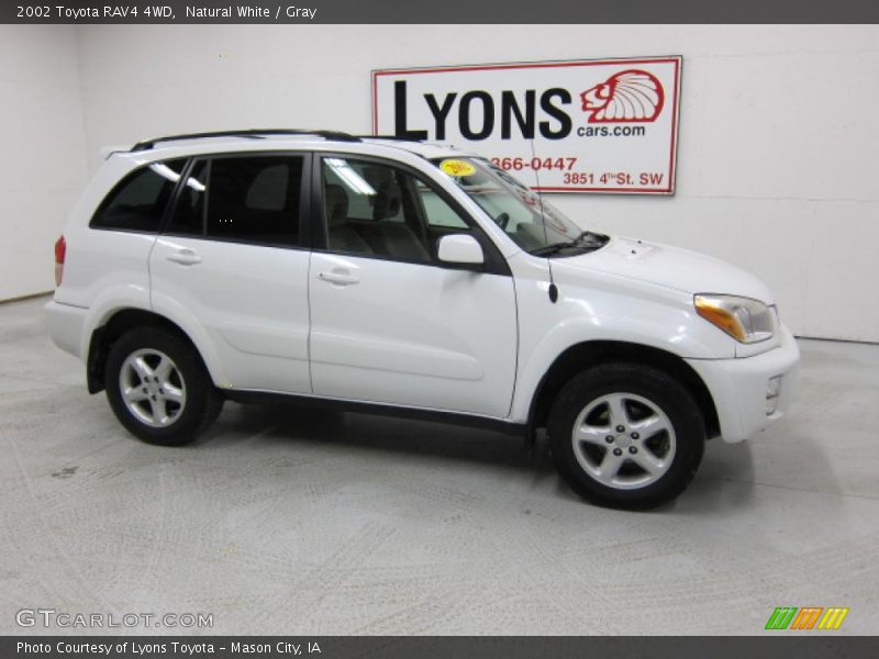 Natural White / Gray 2002 Toyota RAV4 4WD