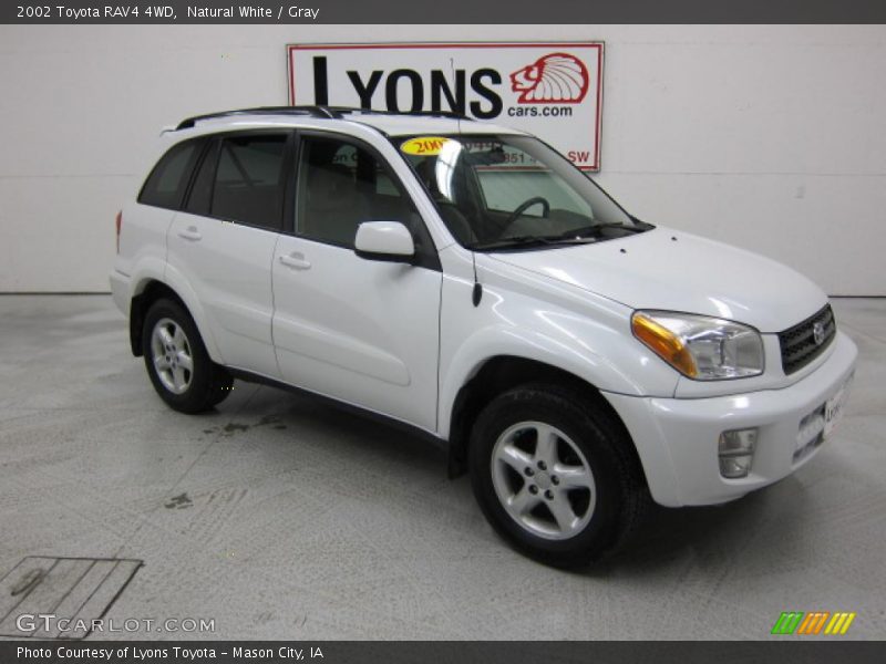 Natural White / Gray 2002 Toyota RAV4 4WD