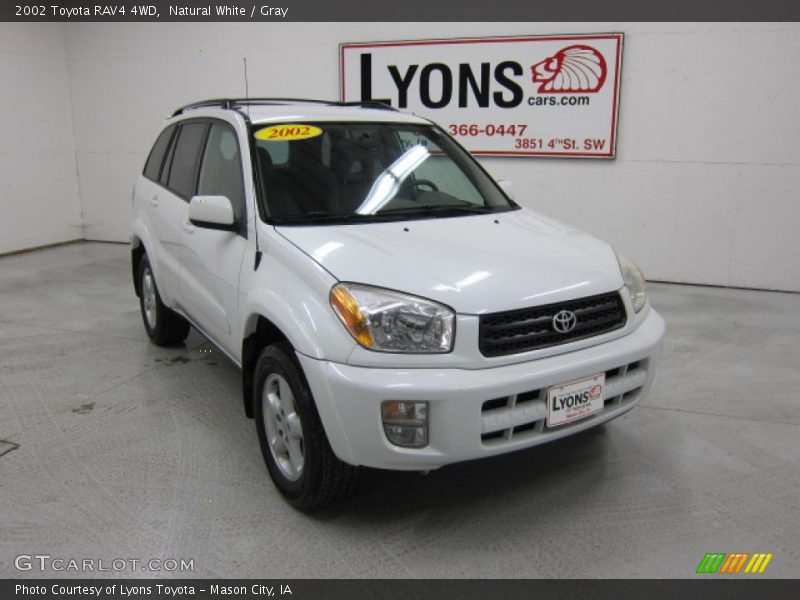 Natural White / Gray 2002 Toyota RAV4 4WD
