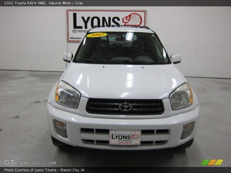 Natural White / Gray 2002 Toyota RAV4 4WD