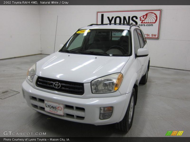 Natural White / Gray 2002 Toyota RAV4 4WD