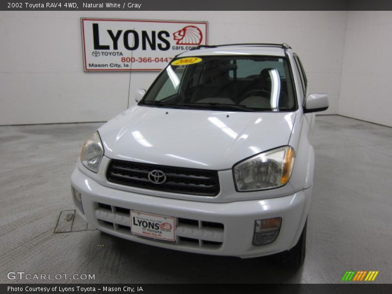Natural White / Gray 2002 Toyota RAV4 4WD