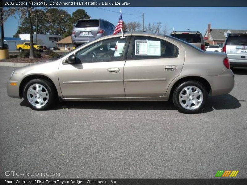 Light Almond Pearl Metallic / Dark Slate Gray 2003 Dodge Neon SXT