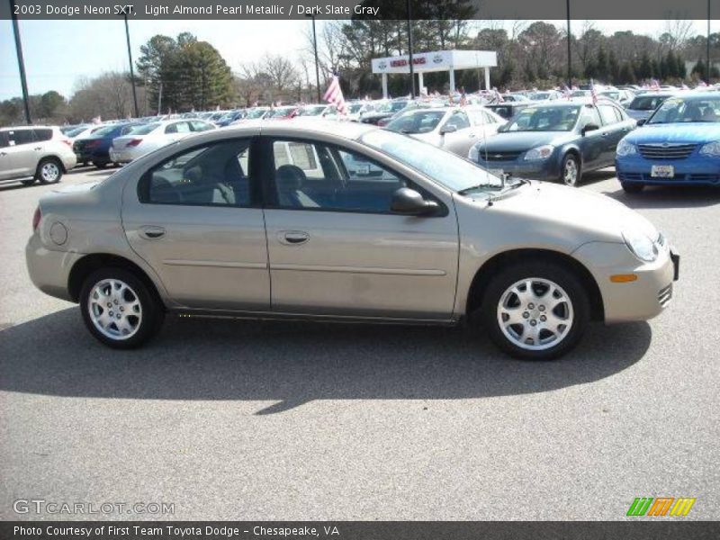Light Almond Pearl Metallic / Dark Slate Gray 2003 Dodge Neon SXT