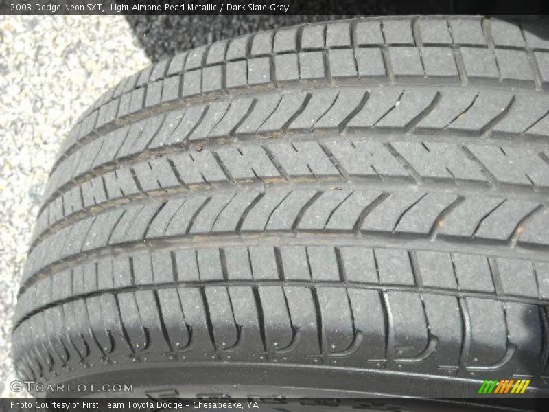 Light Almond Pearl Metallic / Dark Slate Gray 2003 Dodge Neon SXT