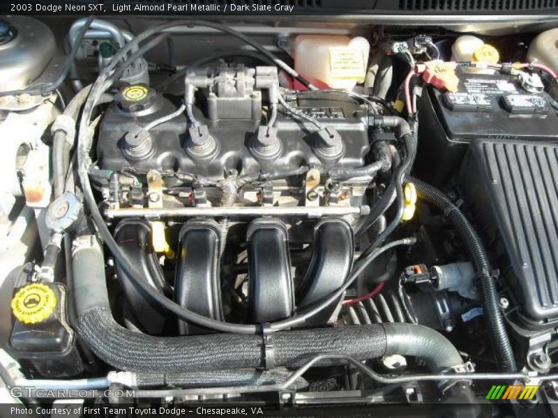 Light Almond Pearl Metallic / Dark Slate Gray 2003 Dodge Neon SXT