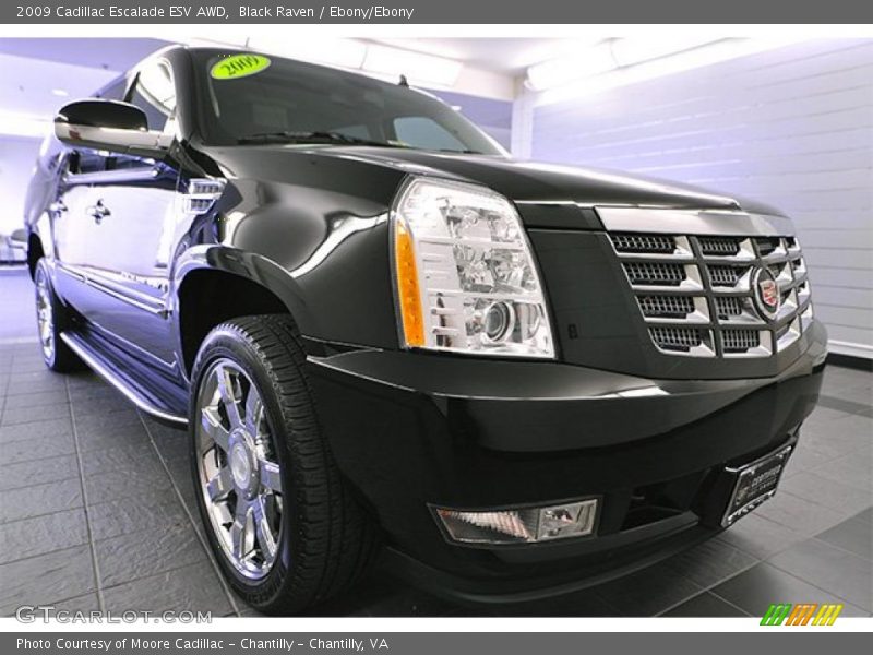 Black Raven / Ebony/Ebony 2009 Cadillac Escalade ESV AWD