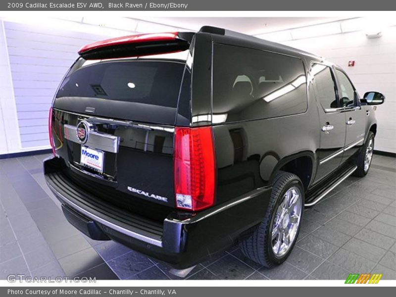 Black Raven / Ebony/Ebony 2009 Cadillac Escalade ESV AWD