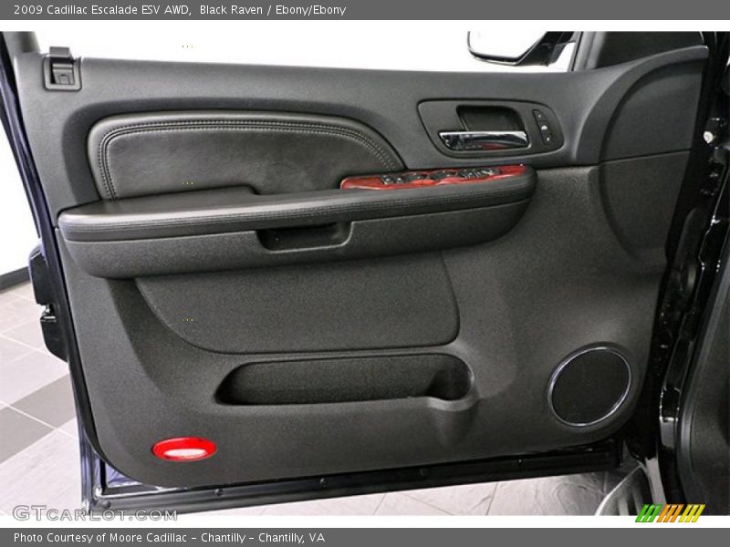 Door Panel of 2009 Escalade ESV AWD