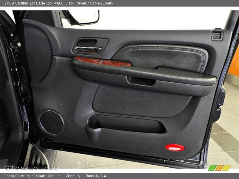 Door Panel of 2009 Escalade ESV AWD