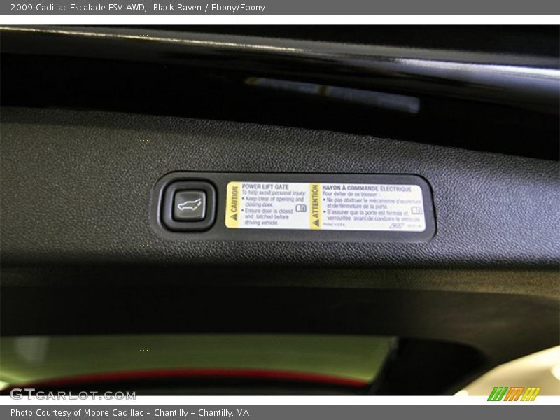 Black Raven / Ebony/Ebony 2009 Cadillac Escalade ESV AWD