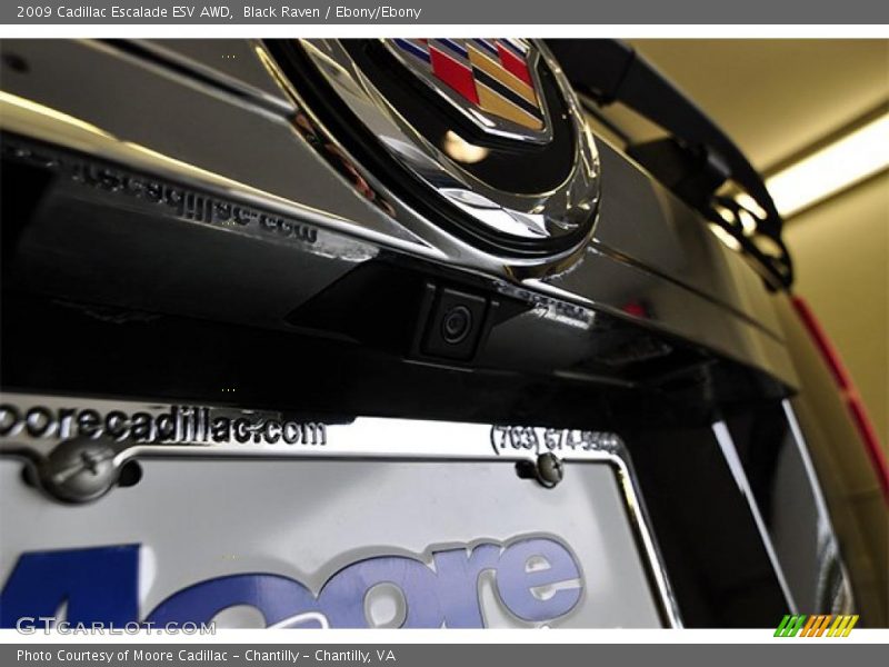 Black Raven / Ebony/Ebony 2009 Cadillac Escalade ESV AWD