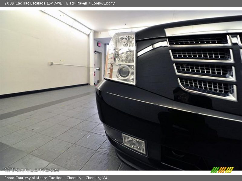 Black Raven / Ebony/Ebony 2009 Cadillac Escalade ESV AWD