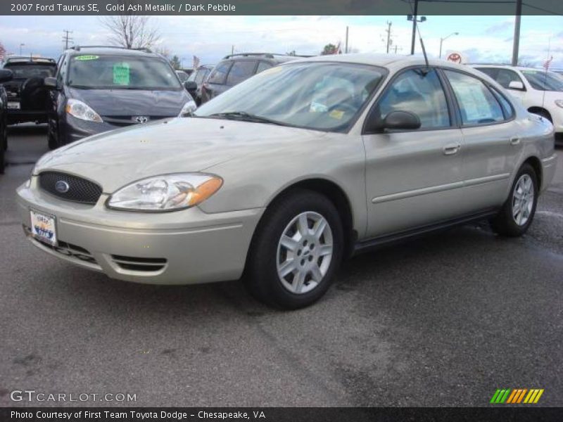 Gold Ash Metallic / Dark Pebble 2007 Ford Taurus SE